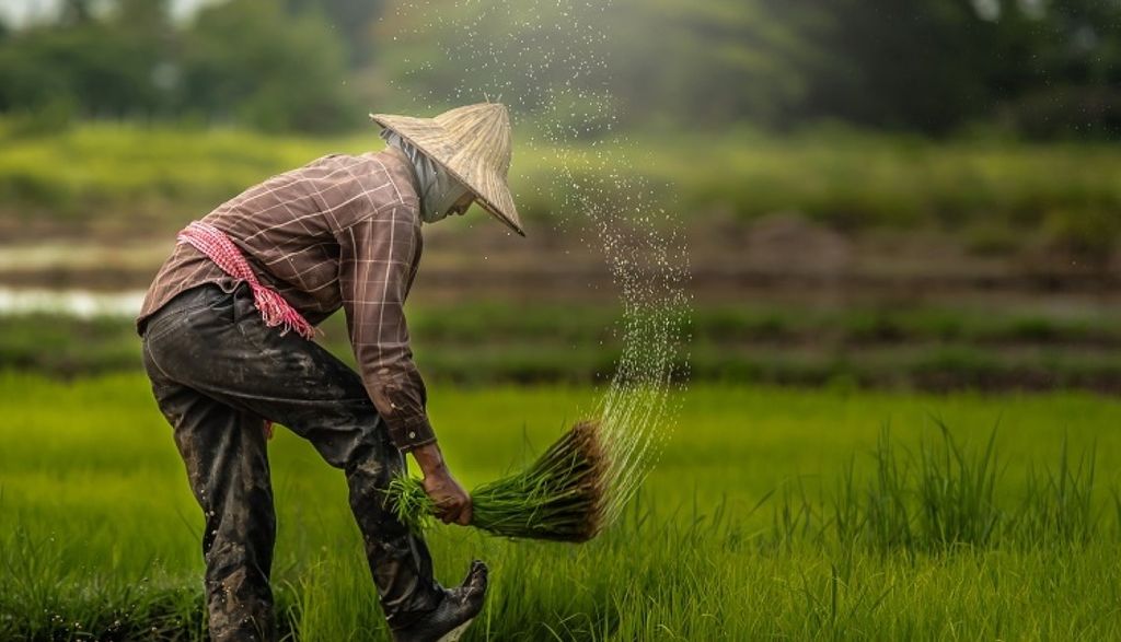 mdec-agtech.jpg