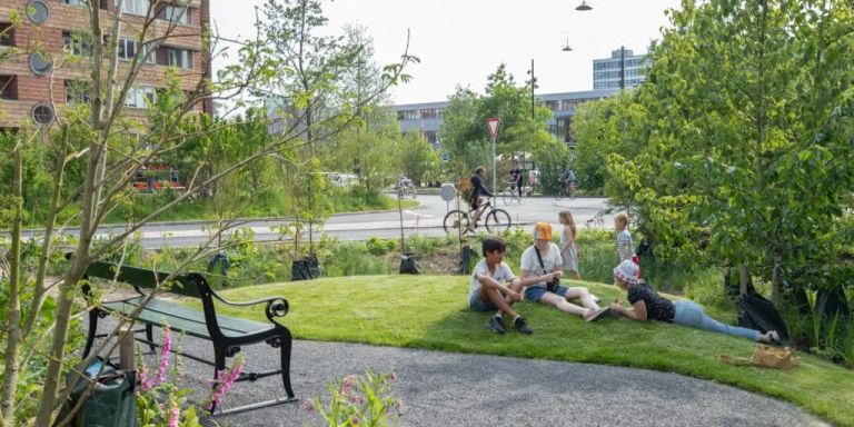 urban green_1024x512.webp